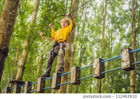 Little boy in a rope park. Active physical recreation of the child in the fresh air in the park. Training for children 112463910