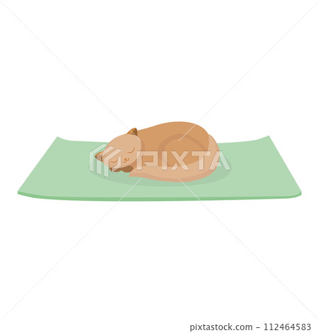 Cute red cat sleeping on green yoga mat, isolated vector cartoon character 112464583