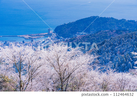 (Shizuoka Prefecture) Looking down at Atami Port from the Izu Skyline Takichiyama parking lot where rime (rain ice) flowers bloom (Shizuoka Prefecture) Looking down at Atami Port from the Izu Skyline Takichiyama parking lot where rime (rain ice) flowers bloom 112464632