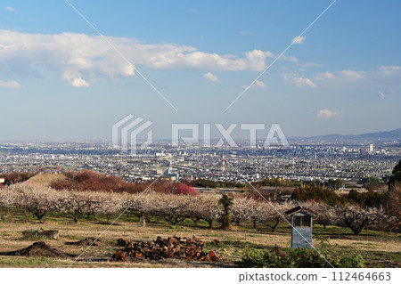 The view from Plum Blossom Park 112464663