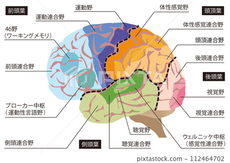 腦功能名稱 112464702