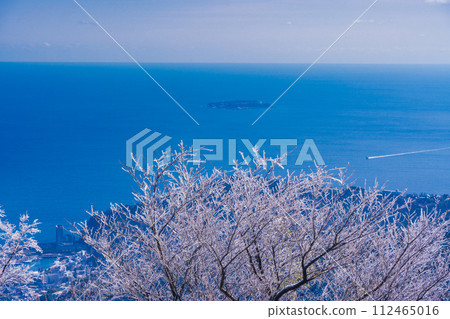 (Shizuoka Prefecture) From the Izu Skyline Takichiyama parking lot where rime ice (rain ice) blooms, you can see a jet ship heading for Atami Port. 112465016