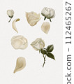 set of leaves for flowers isolated on white background for cutting 112465267