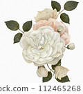 bouquet of flowers white garden roses and beige flowers with leaves on a white background 112465268