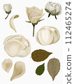 set of flowers roses and peonies leaves petals isolated on white background for cutting 112465274