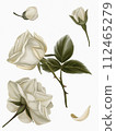 Set of flowers and branches of white flowers peonies and roses isolated on white background 112465279