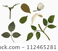 Set of branches of leaves and flowers 112465281