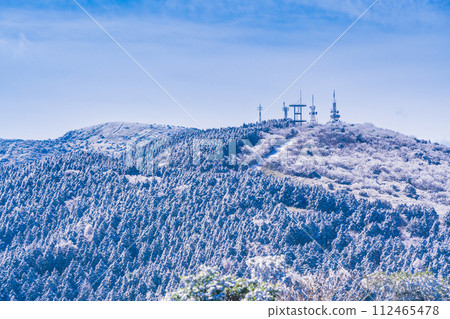 (Shizuoka Prefecture) Izu Skyline with rime (rain ice) flowers blooming 112465478