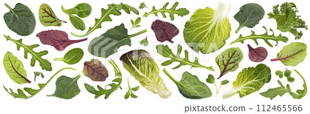 Salad leaves mix isolated, falling green salad with rucola, lettuce, chard, spinach and beets leaves on white background Salad leaves mix isolated, falling green salad with rucola, lettuce, chard, spinach and beets leaves on white background 112465566