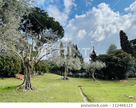 Beautiful background image of spring nature on a bright sunny day. 112466123