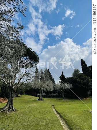 Beautiful background image of spring nature on a bright sunny day. Beautiful background image of spring nature on a bright sunny day. 112466127