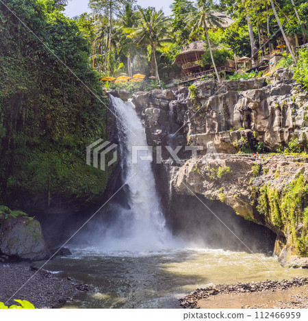 Tegenungan Waterfall near Ubud, Bali, Indonesia. Tegenungan Waterfall is a popular destination for tourists visiting Bali, Indonesia Tegenungan Waterfall near Ubud, Bali, Indonesia. Tegenungan Waterfall is a popular destination for tourists visiting Bali, Indonesia 112466959