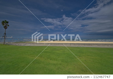 A view of the beach lawn and the horizon A view of the beach lawn and the horizon 112467747