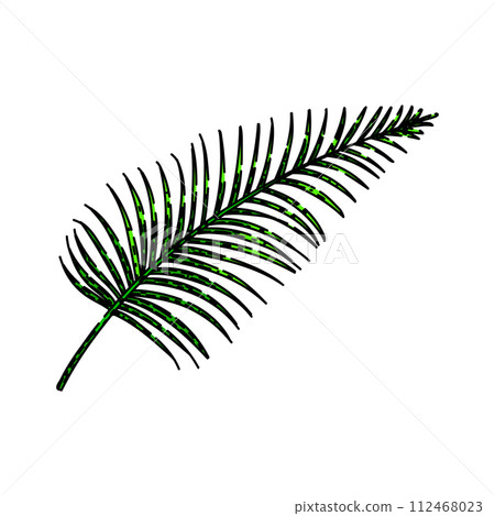 areca palm tropical leaf sketch hand drawn vector areca palm tropical leaf sketch hand drawn vector 112468023