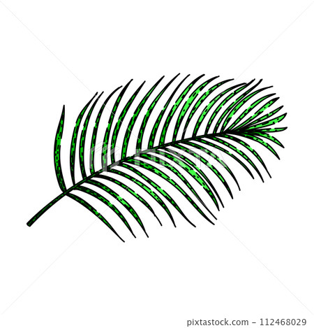 coconut tropical leaf sketch hand drawn vector 112468029