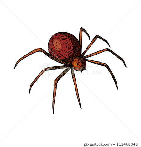 spider sketch hand drawn vector 112468048