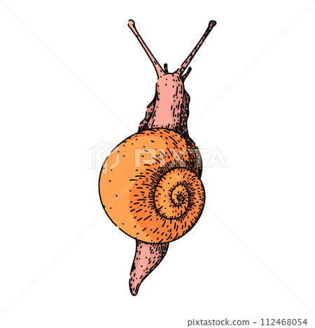 insect snail sketch hand drawn vector 112468054
