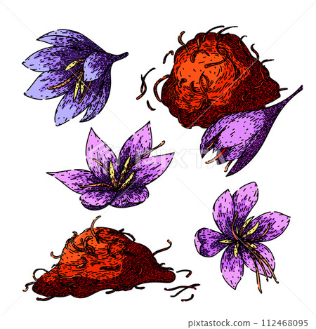 saffron set sketch hand drawn vector 112468095