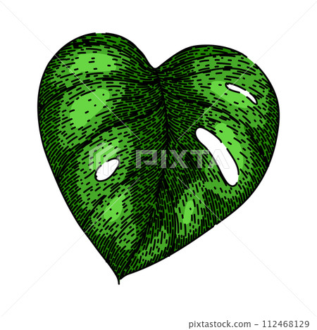 line monstera leaf sketch hand drawn vector line monstera leaf sketch hand drawn vector 112468129
