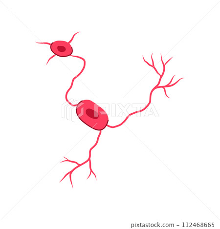 structure neurons cartoon vector illustration structure neurons cartoon vector illustration 112468665