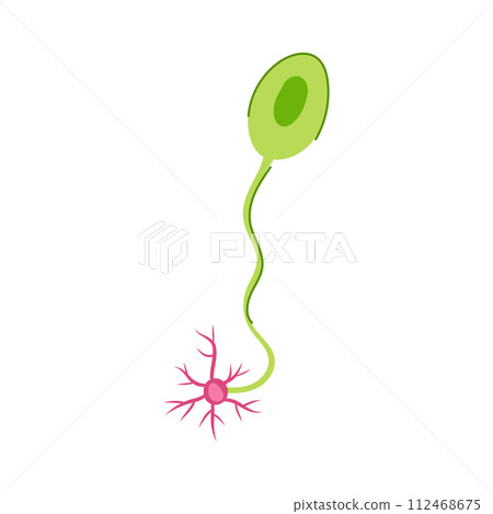 neuroscience neurons cartoon vector illustration neuroscience neurons cartoon vector illustration 112468675