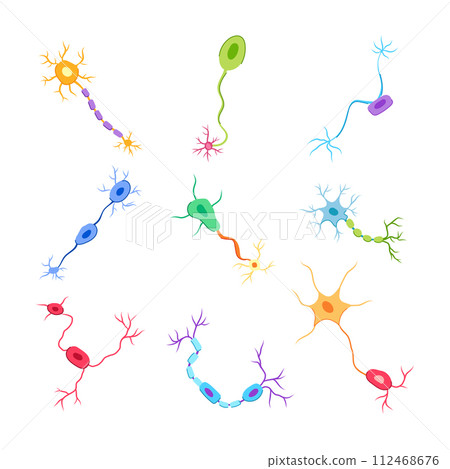 neurons set cartoon vector illustration 112468676