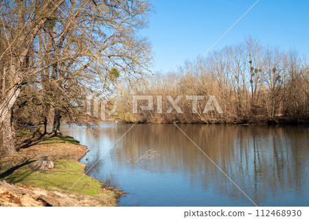 River Dyje with a forest on the banks, Januv hrad, Czechia 112468930