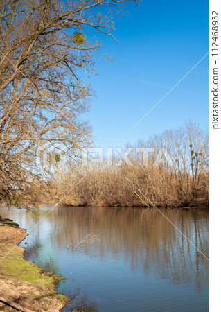 River Dyje with a forest on the banks, Januv hrad, Czechia River Dyje with a forest on the banks, Januv hrad, Czechia 112468932