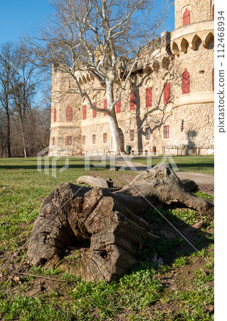 Detail of a cut trunk in the castle park, Januv hrad, Czechia 112468934