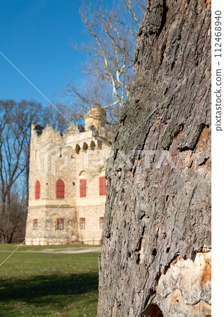 Detail of a tree trunk in the castle park, Januv hrad, Czechia Detail of a tree trunk in the castle park, Januv hrad, Czechia 112468940