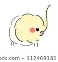 cockatiel staring 112469181