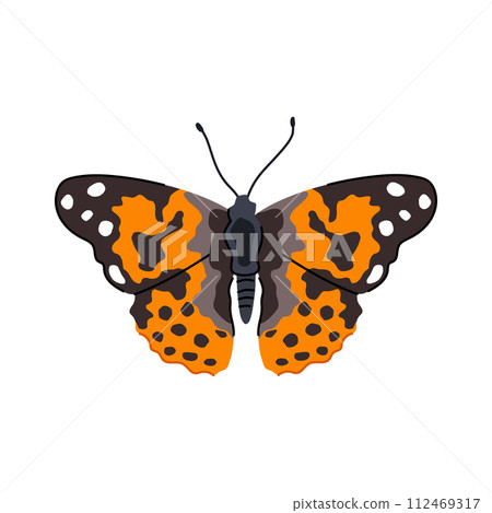 spring butterfly cartoon vector illustration spring butterfly cartoon vector illustration 112469317
