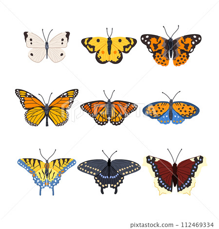 butterfly set cartoon vector illustration butterfly set cartoon vector illustration 112469334