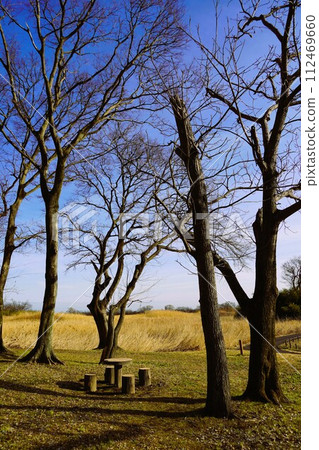 Watarase Reservoir protects the lives and property of Tokyo residents. Watarase Reservoir protects the lives and property of Tokyo residents. 112469660