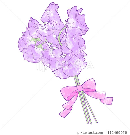 逼真的紫色甜豌豆花束水彩插圖 逼真的紫色甜豌豆花束水彩插圖 112469956