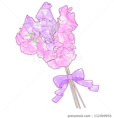 逼真的甜豌豆花束水彩插圖 逼真的甜豌豆花束水彩插圖 112469958