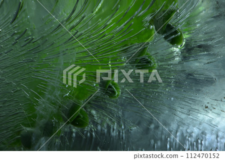 Green leaves and frozen ice cubes close-up 112470152