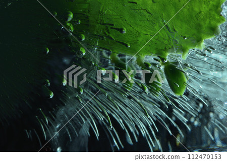 綠色葉子和結凍的冰塊特寫 112470153
