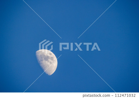 First Quarter Moon in Daylight Sky 112471032