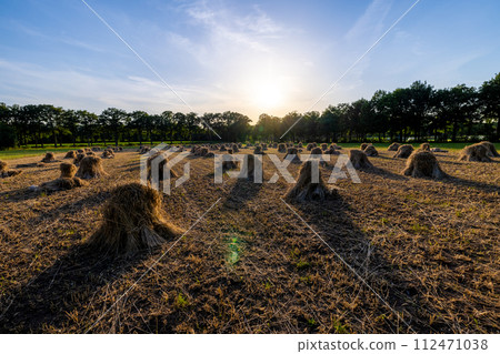 Sunset Over Traditional Haystacks in Rural Field Sunset Over Traditional Haystacks in Rural Field 112471038