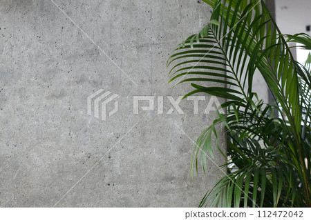 Gray stucco wall background with green palm leaves 112472042