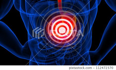 stomach pain anatomy for medical concept 3d rendering 112472370