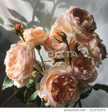 fantasy rose fantasy rose 112472473