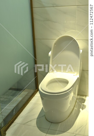 white toile in water closet with electric light at house 112472567