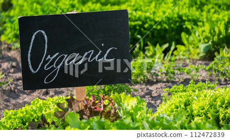 Organic sign on a bed where a green salad grows 112472839