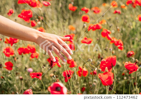 Woman hand poppies field. Close up of woman hand touching poppy flower in a field. 112473462