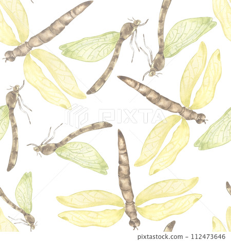 Dragonflies watercolor and shadows seamless pattern isolated on white. Flying insects illustration hand drawn. Colorful sketch bugs with transparent wings. Design for textile, tableware, wrapping Dragonflies watercolor and shadows seamless pattern isolated on white. Flying insects illustration hand drawn. Colorful sketch bugs with transparent wings. Design for textile, tableware, wrapping 112473646