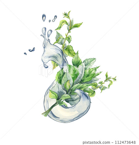 Bush of nettles in water splash. Watercolor illustration of the herbal plant Urticaria dioica. Water wave and green leaf, stinging plant hand drawn. Element for label, packaging cosmetic, apothecary 112473648