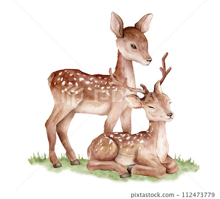 Watercolor two deer on abstract green grass. Spotted deer isolated on white background. Hand painted wild animal template for fabric. Realistic animal for design and print or background. 112473779