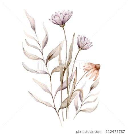Watercolor bouquet botanical autumn illustration echinacea branches flowers and herbs. Autumn floral illustration. Hand painted drawing isolated on white background. Floral composition pastel color 112473787